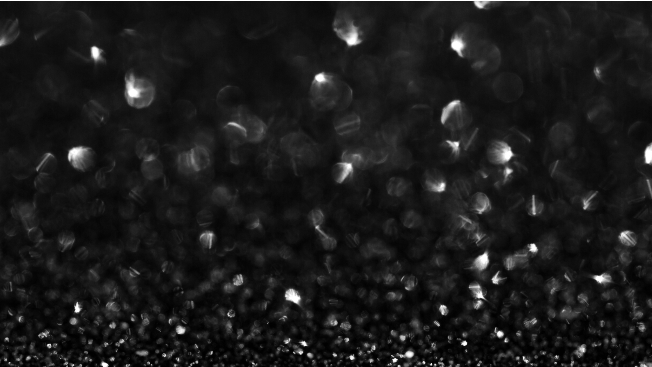 BLACK & WHITE KOLLEKTION